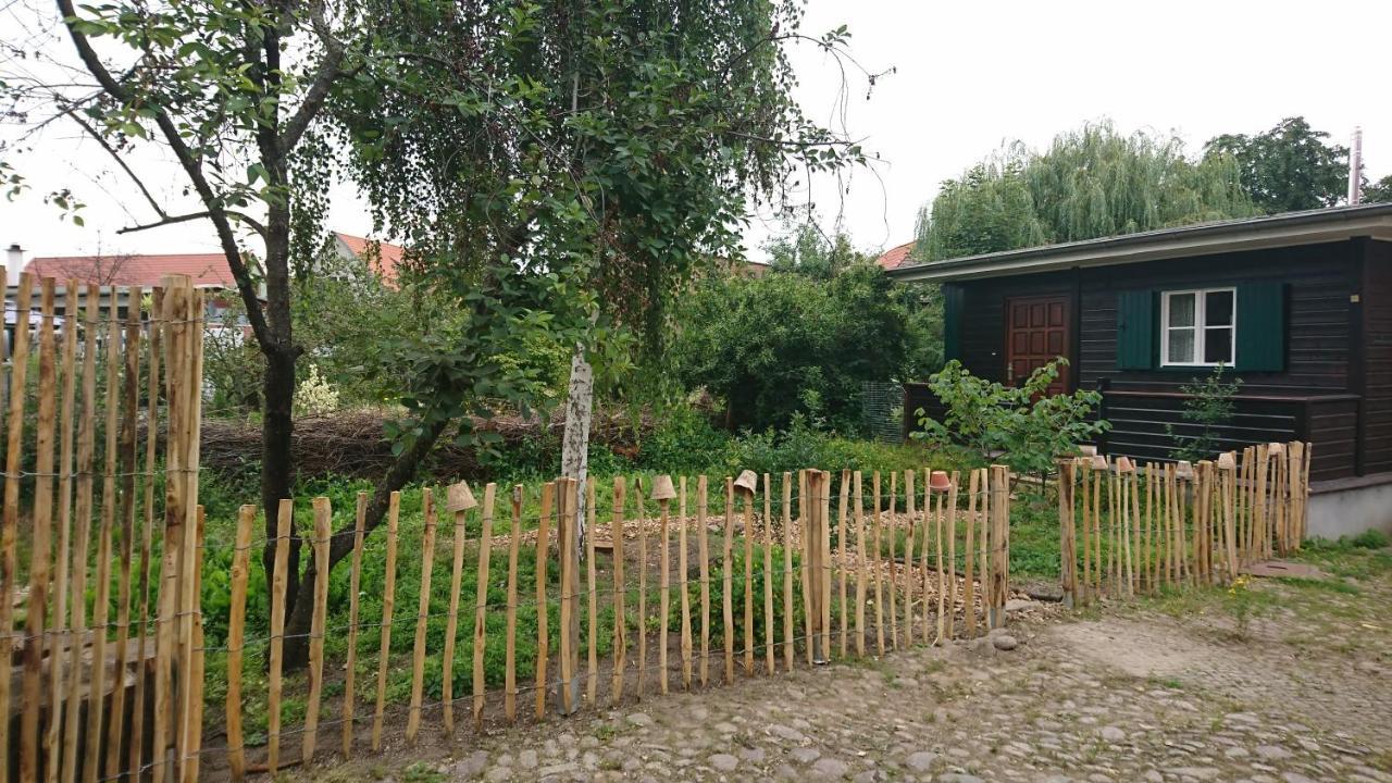 Apartamento Hütte mit Herz im Harz Meisdorf Exterior foto