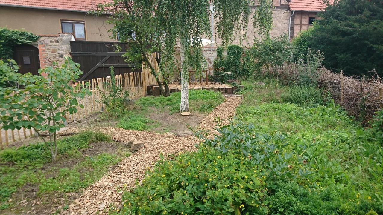 Apartamento Hütte mit Herz im Harz Meisdorf Exterior foto